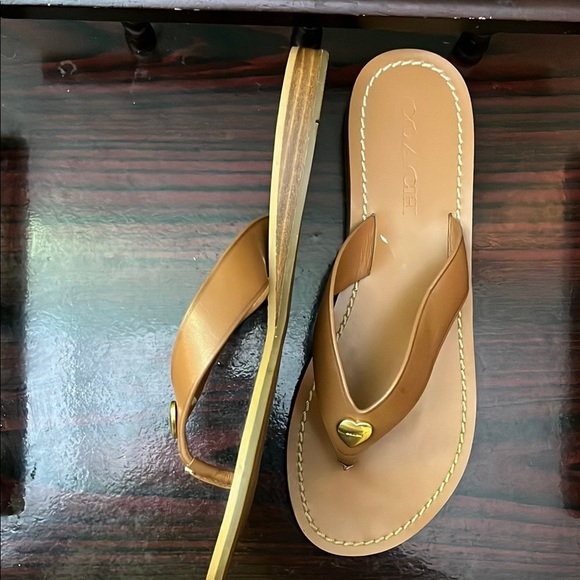 Coach Saddle Ellis LTR THNG - Picture 8 of 13